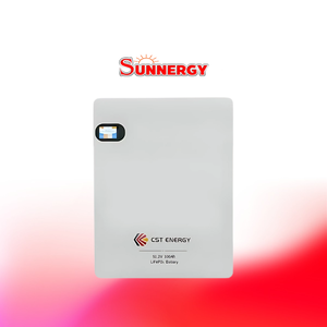 CST ENERGY 51.2V 100Ah Home Wall Mounted Lithium Iron Phosphate Battery