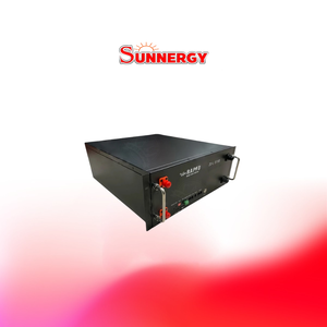 RAPD Li-Battery 51.2V 100Ah Reck Type