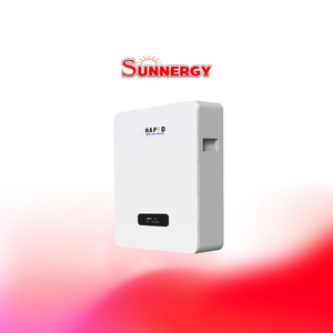 RAPD Li-Battery 51.2V 100Ah Wall Type