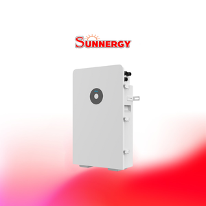 DEYE_RW-L5.1/51.2V/100AH/5.12KWH Wall Mounted