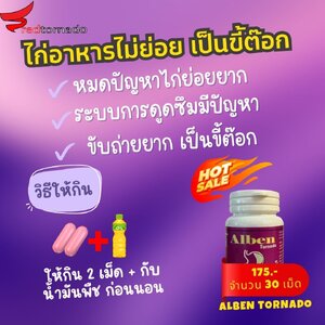 ไก่อาหารไม่ย่อย: รู้จักอาการและวิธีแก้ไขที่มีประสิทธิภาพ
