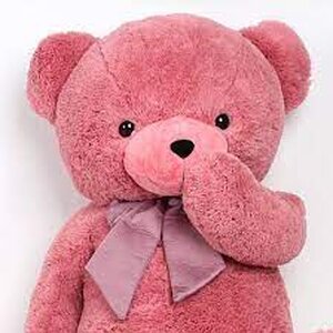 ร้านตุ๊กตา ตุ๊กตาหมี ตุ๊กตาหมีตัวใหญ่ ของขวัญ