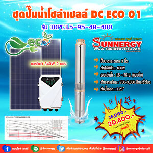 ชุดปั๊มน้ำโซล่าเซลล์ DC ECO 01