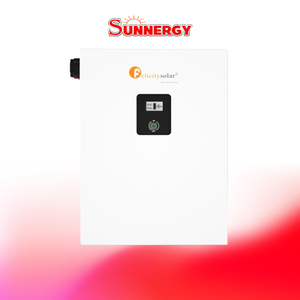 Felicitysolar LPBF48100-M Battery LiFePO4 แบตเตอรี่โซล่าเซลล์ ชนิดลิเธียมฟอสเฟต 48V 100Ah