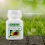 Nutrilite Bio C Plus AllDay Formula (60 tab) วิ ตามิน ซีแอมเวย์