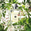 หัวน้ำหอม White Jasmine & Mint 002878