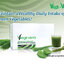 เวกิ เวร่า Vegi Vera (เครื่องดื่มผงจากใบอ่อนข้าวสาลี) ของแท้ ส่งฟรี!!!