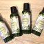 Pamisa Botanica เจลคลายกล้ามเนื้อมงคลจักรวาล 8 ทิศ สูตรเย็น ราคา 99฿ เขียว