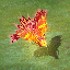 [IN-STOCK]Vermillion Crucible