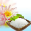 หัวน้ำหอม NG กลิ่น Sea salt & lotus Blossoms 006017