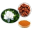 ผงสีเหลืองจากธรรมชาติ Gardenia Yellow 25g ไม่สามารถทำอาหารได้