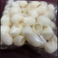 รังไหมสีขาว 25g 002643 ลูกใหญ่มาก เกรดสวมนิ้วได้
