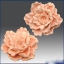 แม่พิมพ์ซิลิโคน รูปดอกไม้ 3d 110g