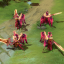 Radiant Conqueror