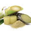 Sugarcane Extract สารระงับกลิ่นในร่างกาย ห้ามใช้ในช่องปาก 100ml 005112