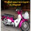 ตะกร้า ดรีมซุปเปอร์คัพ ใบใหญ่ สีขาว