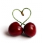 ผงอะโชโรล่า เชอรี่ Acerola cherry 30g