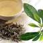สารสกัดชาเขียว green tea เลือกขนาด 000901