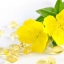 Evening Primrose Oil 100ml
